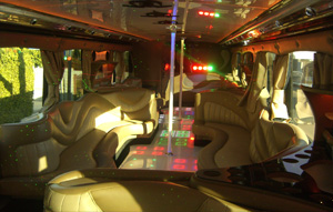 Los Angeles Party Bus 40-45 passenger
